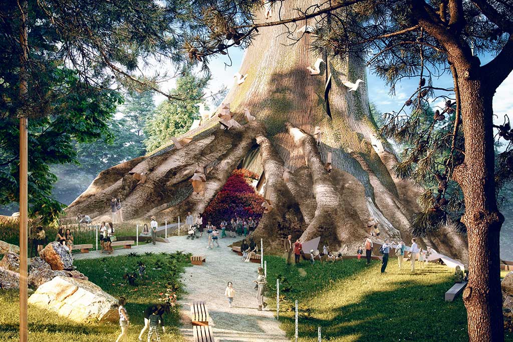 Big Tree detail
